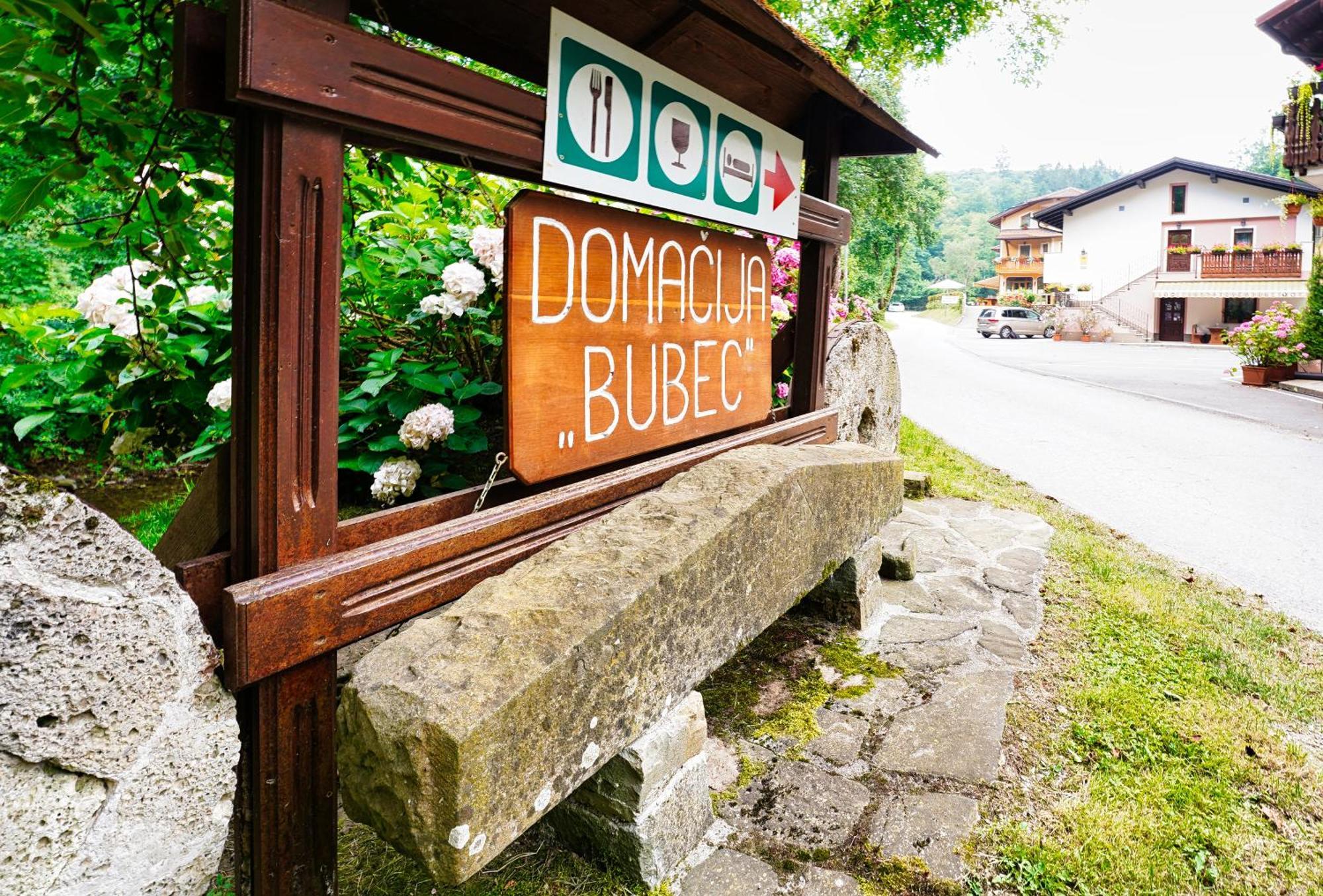 イリルスカ・ビストリツァ Domacija Bubecヴィラ エクステリア 写真